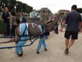 fete 2015 (58).JPG